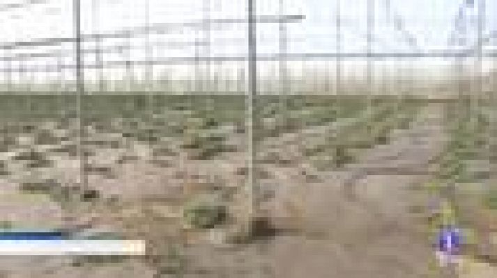 Noticias Andalucía - Noticias Andalucía 2 - 16/9/2019