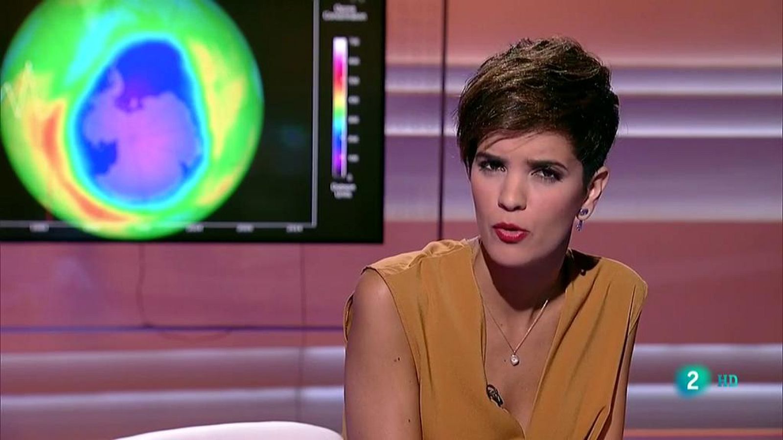 Entrevista con Fernando Valladares, investigador del CSIC