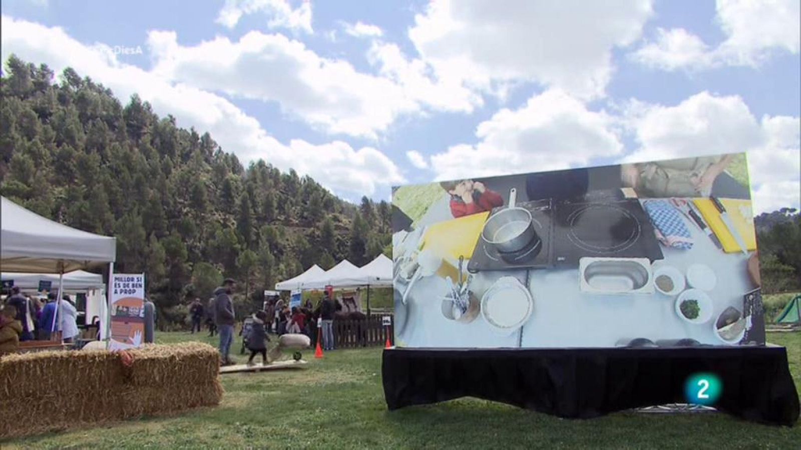 Cinc dies a - Món Sant Benet