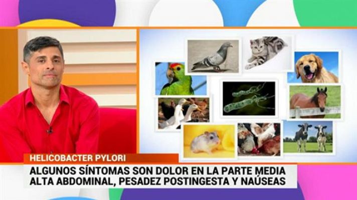 Cerca de ti - Cerca de ti - 18/09/2019