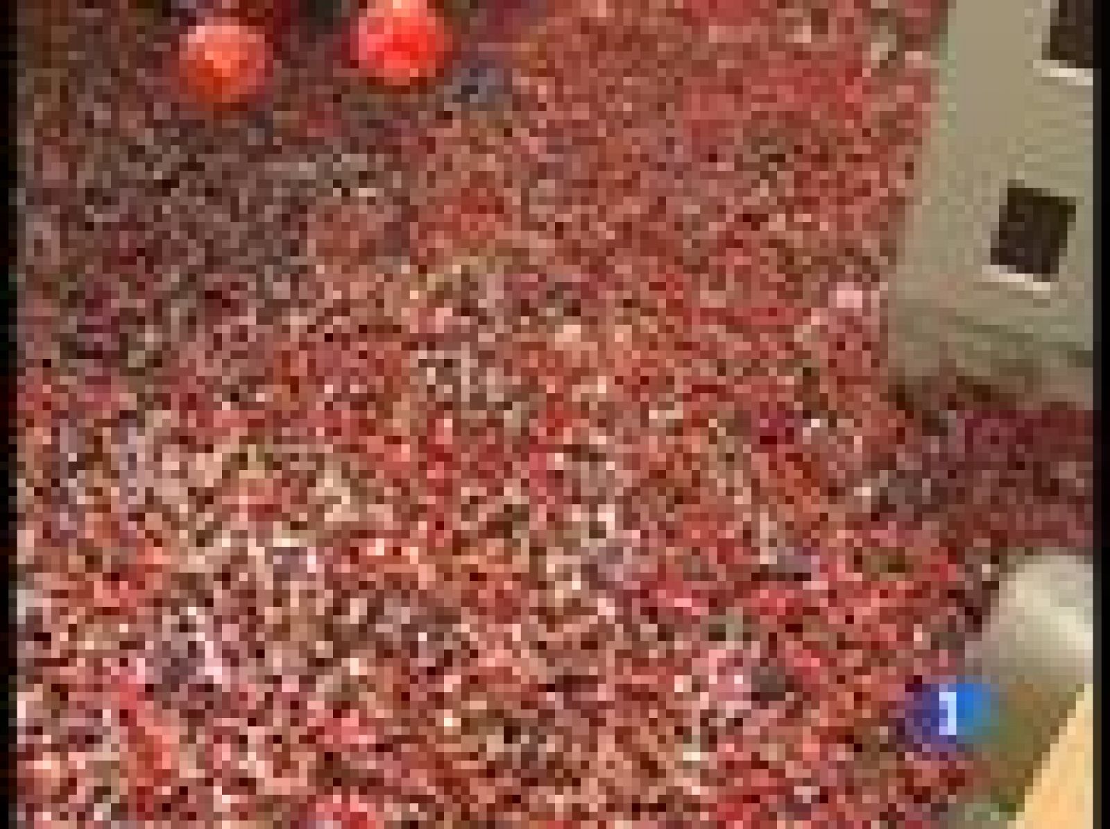 Telediario 2 en cuatro minutos - 06/07/09 | Ver