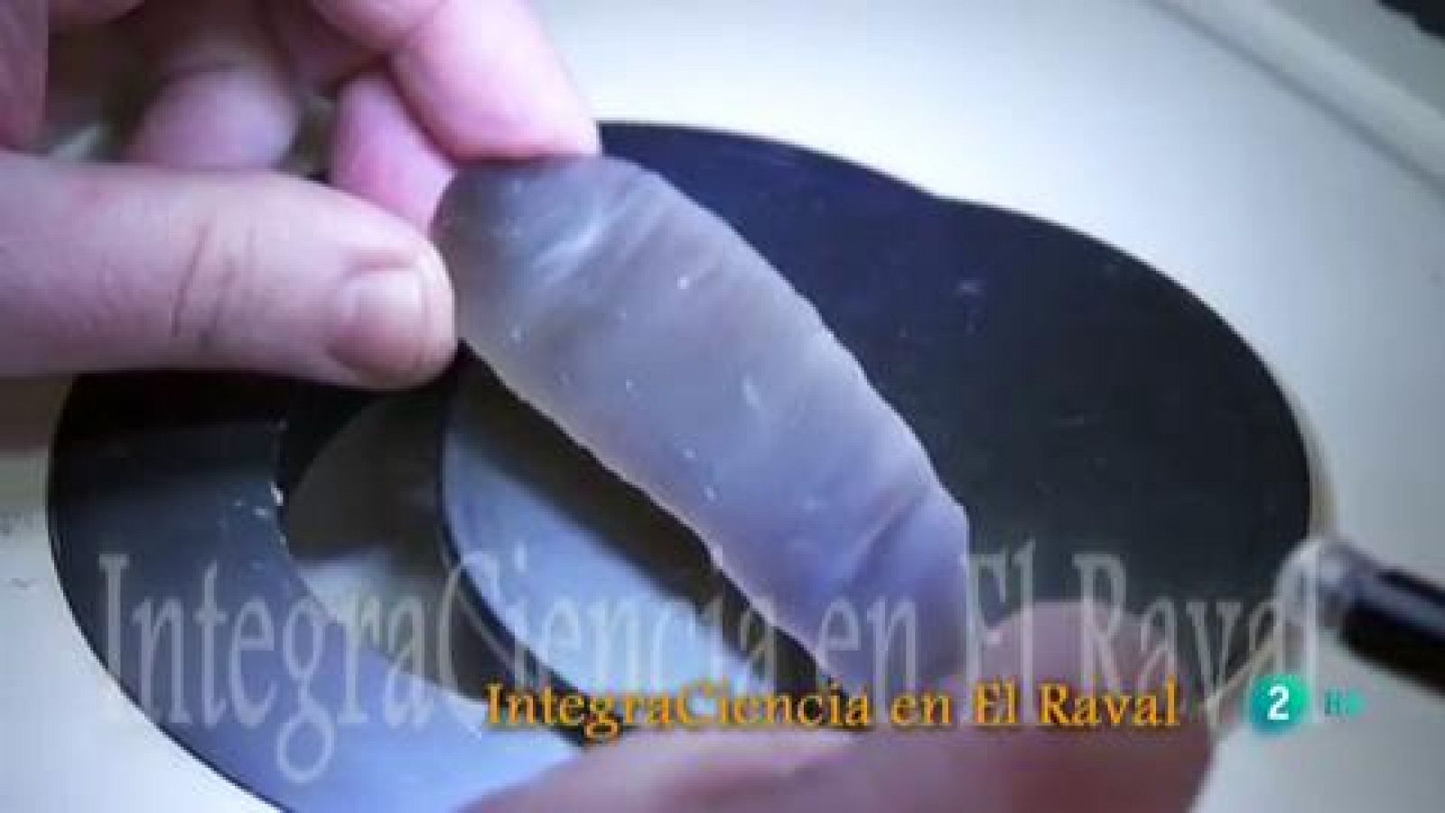 Integraciencia en el Raval I La aventura del saber