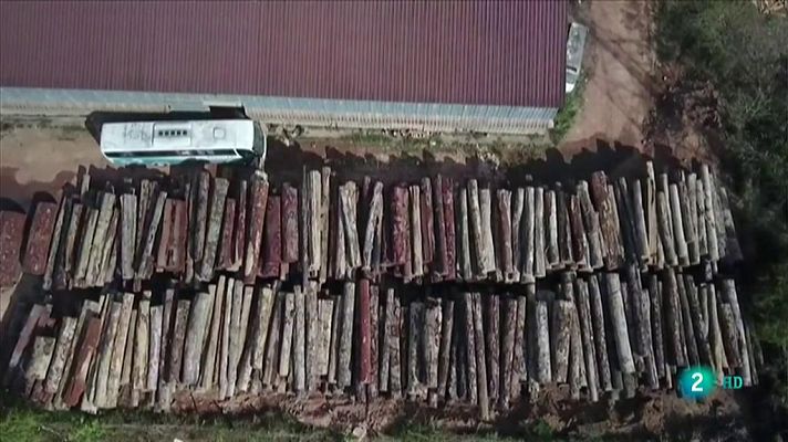 Mafias detrás de los incendios de la Amazonia