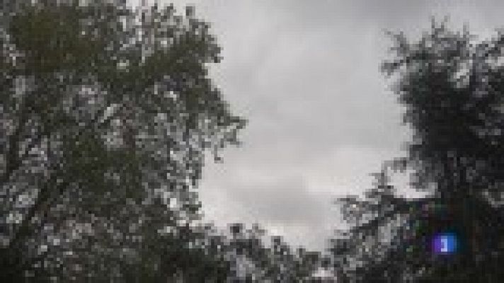 Panorama Regional - El tiempo en Asturias - 19/09/19