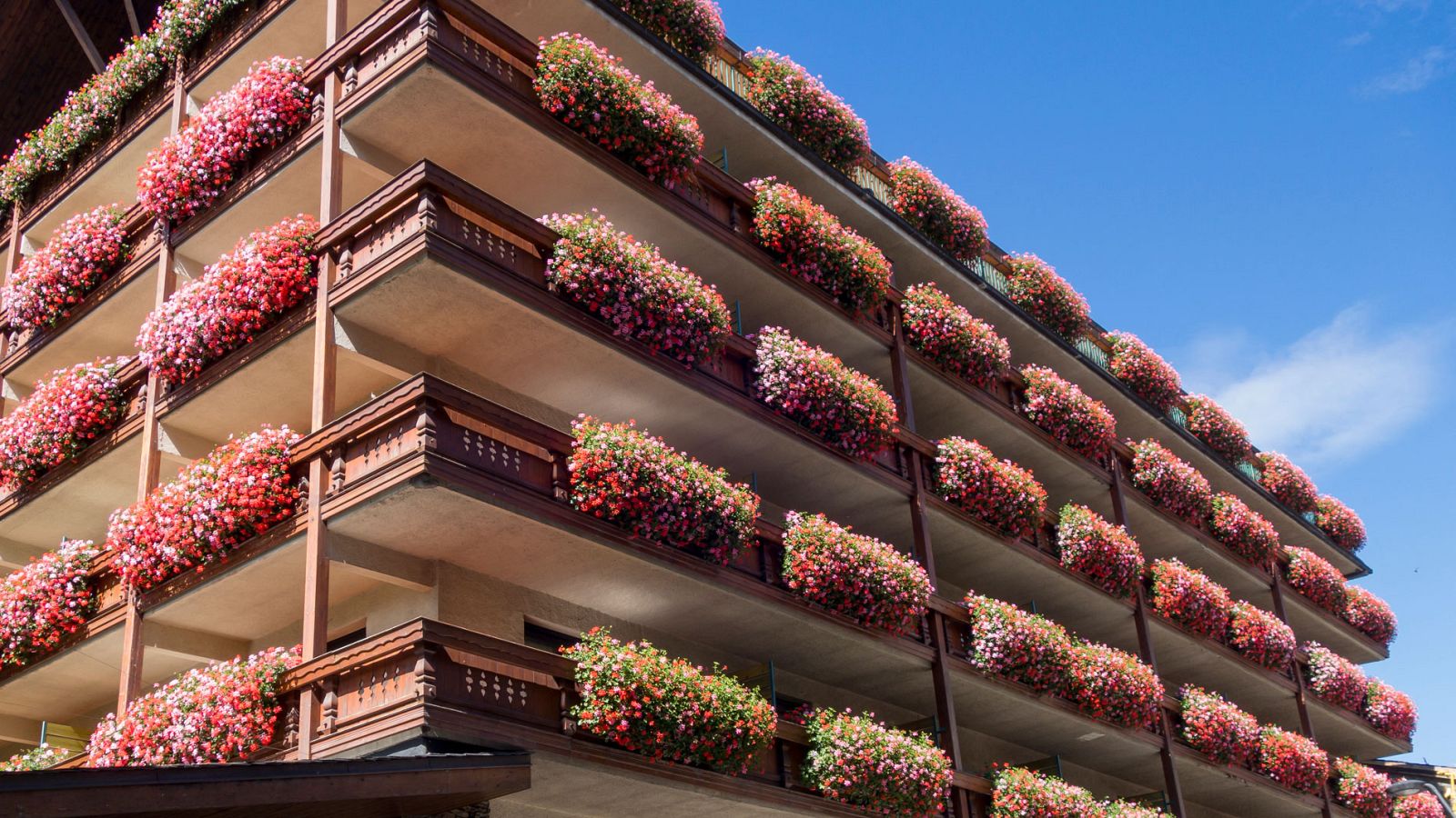 Casas con perspectiva de género