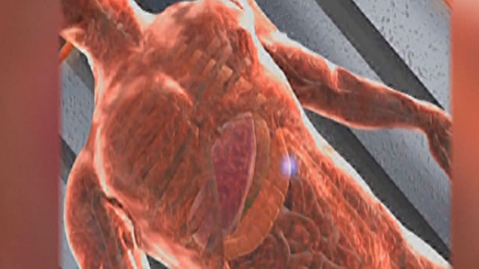 La Universidad de Zaragoza presenta un proyecto europeo para cartografiar el interior del cuerpo humano