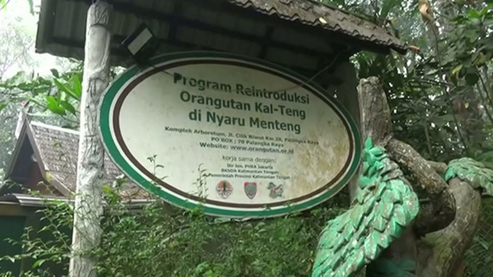 La 2 Noticias - 19/09/19 - ver ahora