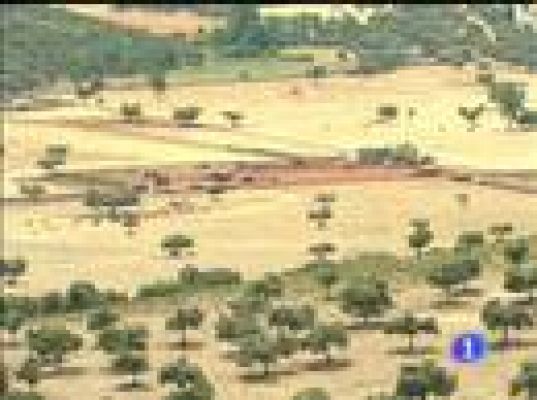 San Fermín - Alcurrucén estrena los Sanfermines