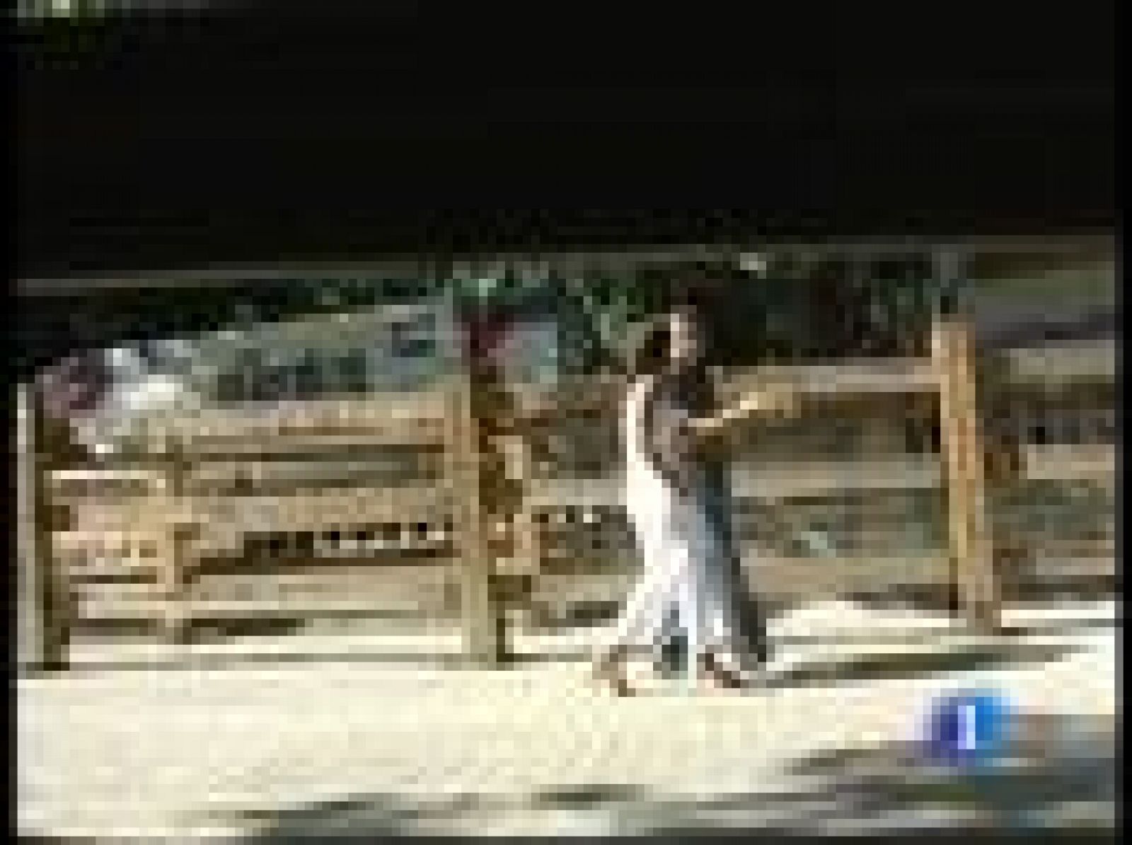 Consejos para saber cómo correr el encierro