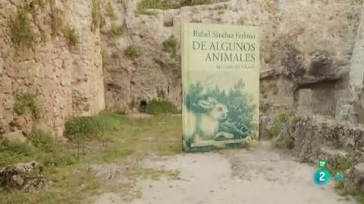 Fin. Mi lucha 6 y De algunos animales. Bestiario ilustrado