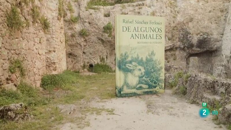 Página Dos - Recomendaciones - Fin. Mi lucha 6; De algunos animales. Bestiario ilustrado; y La divina comedia