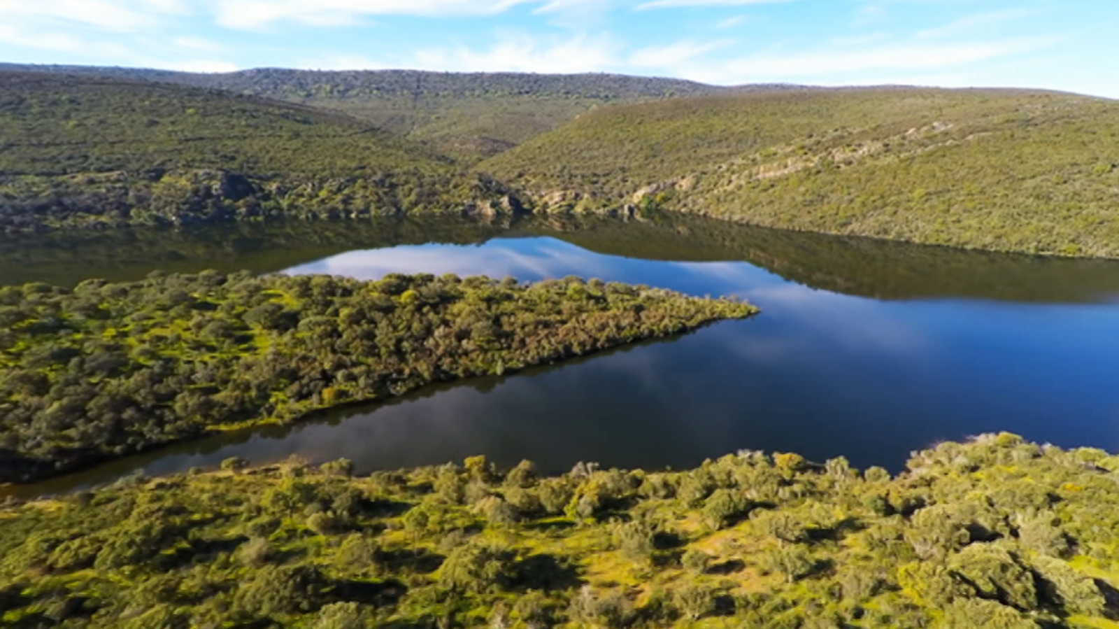 El bosque protector - Parque Nacional de Monfragüe