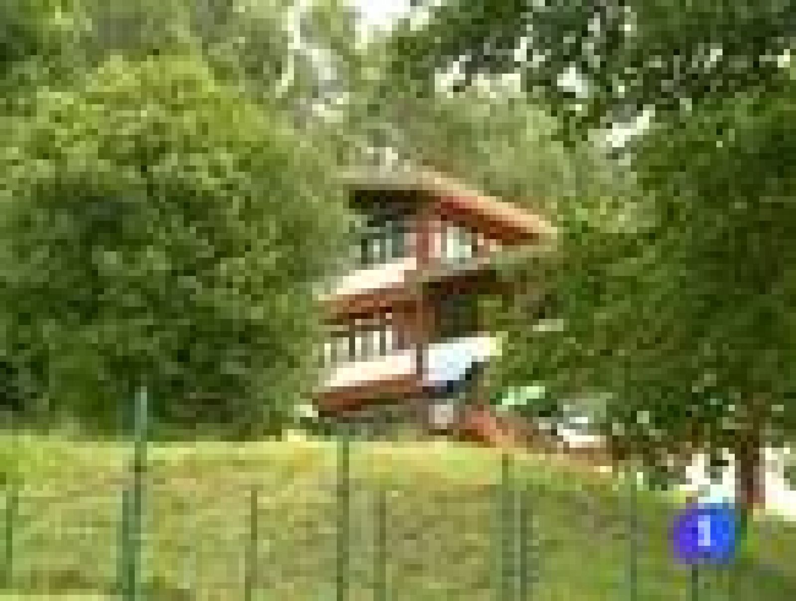 Telenorte. Informativo del País Vasco. (07/07/09)