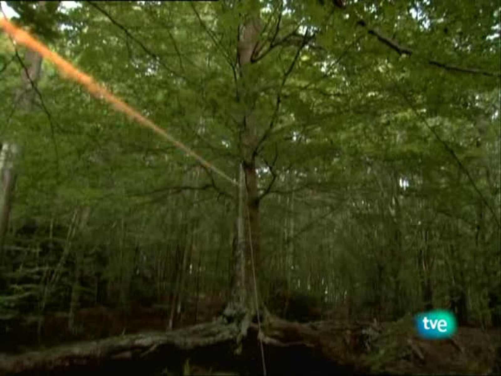 Metrópolis - Cannes 2009 - Metrópolis | Ver