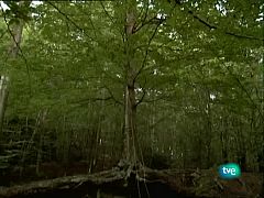 Metrópolis - Outsiders - Primera parte