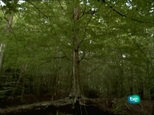 Metrópolis - Outsiders - Primera parte