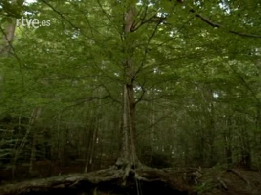 Metrópolis - Baleares Beats