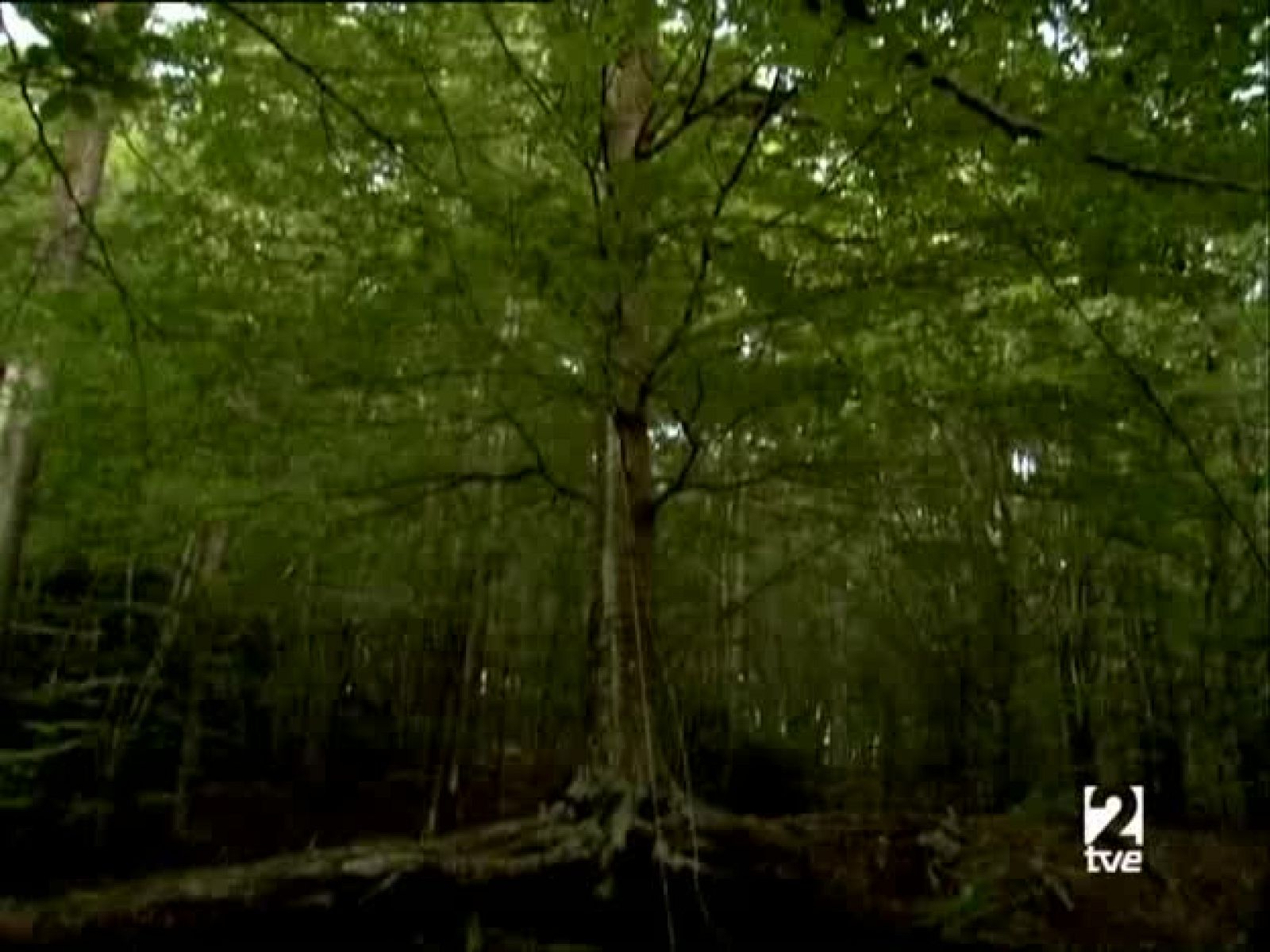 Metrópolis - "Music on the road" - Metrópolis | Ver