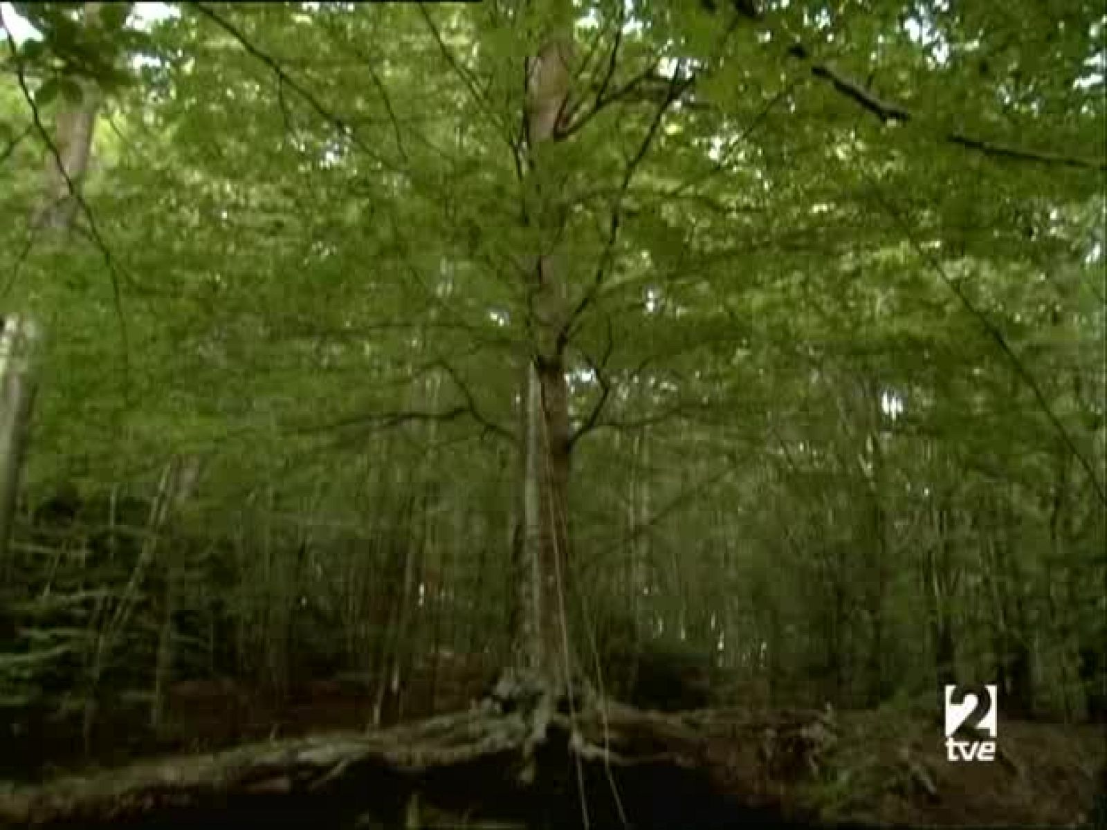 Metrópolis -  HIP HOP ESPAÑA - Metrópolis | Ver