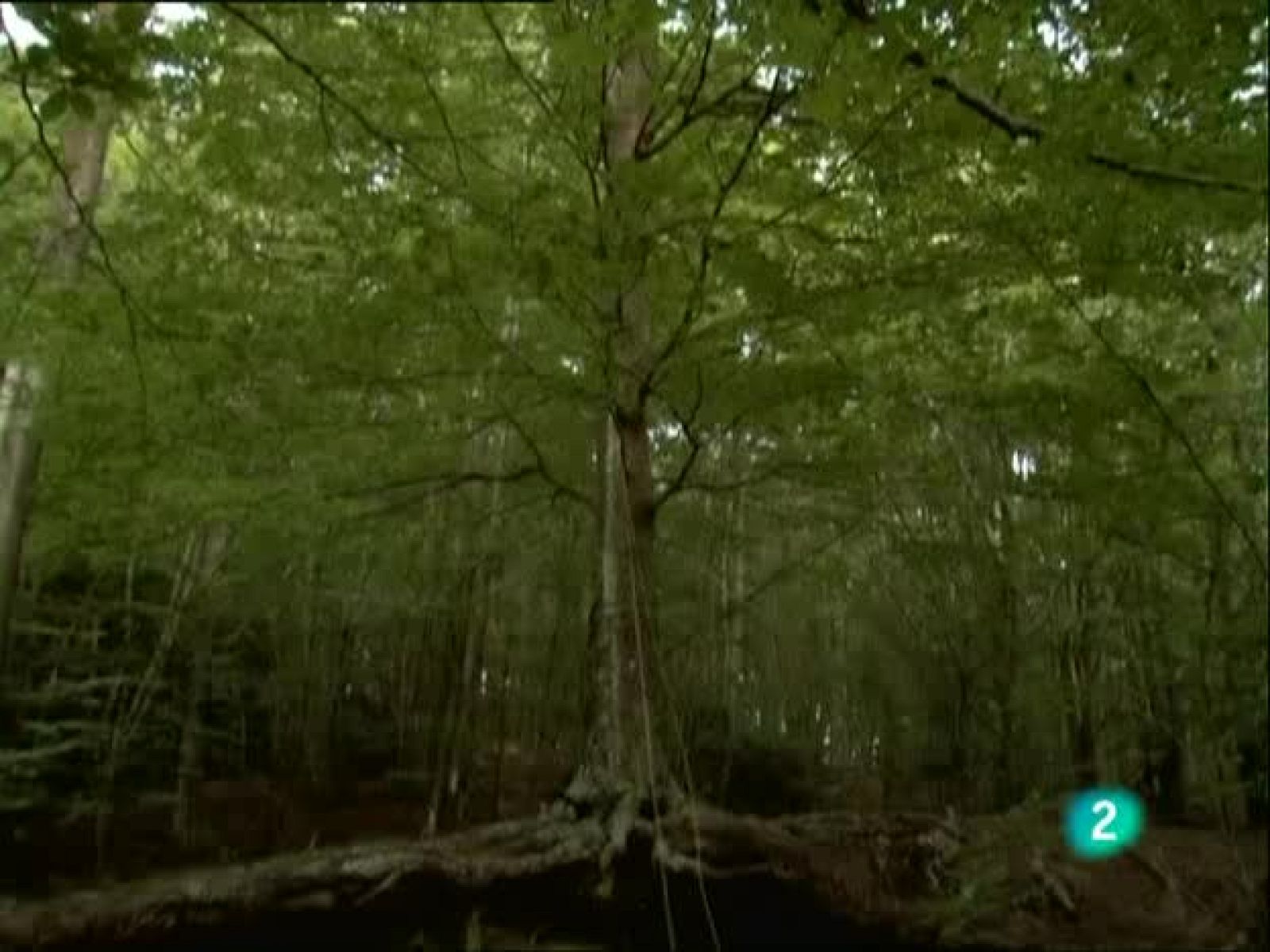 Metrópolis - Outsiders - Segunda parte - Metrópolis | Ver