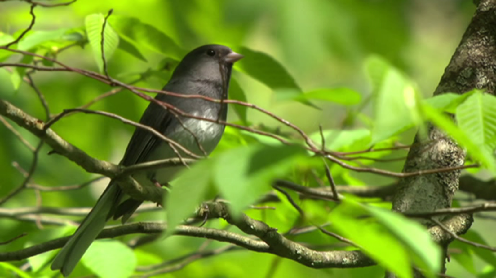 La 2 Noticias - 25/09/19 - ver ahora