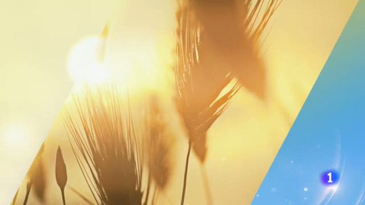 Noticias Aragón - El tiempo en Aragón - 26/09/2019