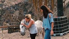 Comando actualidad - Tierra quemada