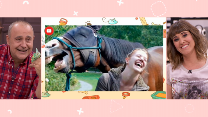 +Cotas - Programa 14