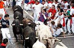 Segundo encierro, San Fermín 2009.