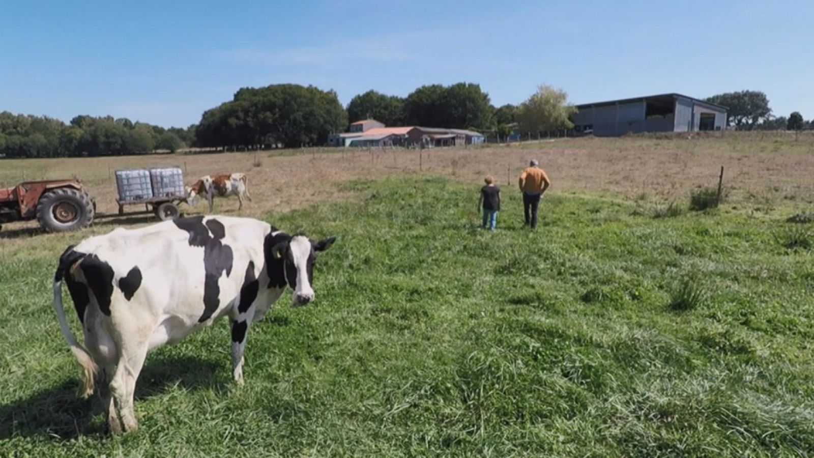 Iturriaga y la cosmética con leche