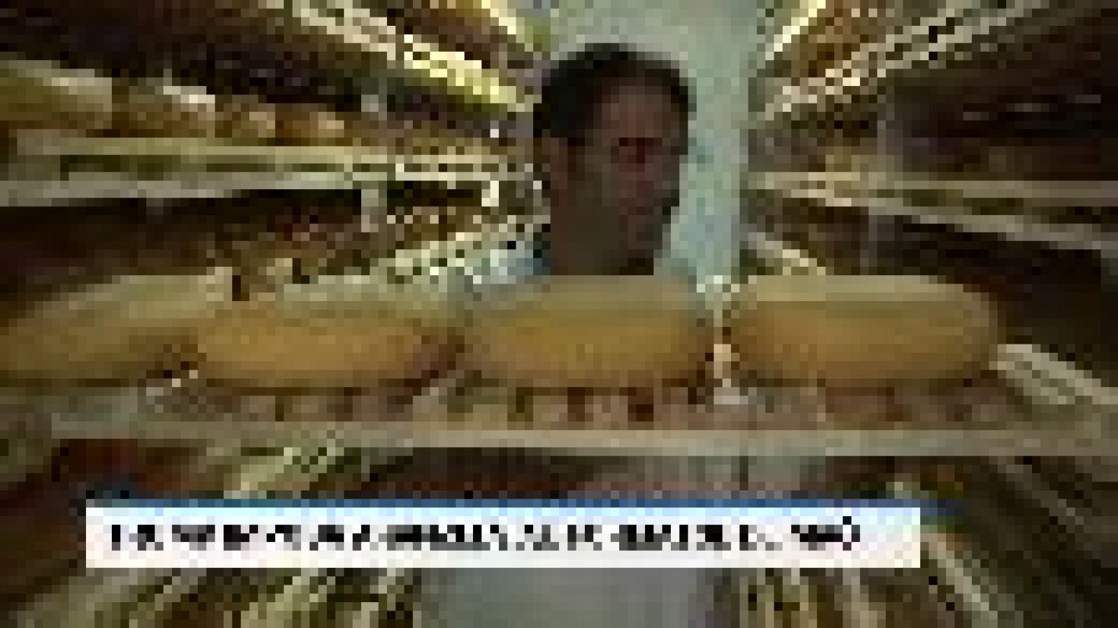 Informatiu Balear en 2' - 03/10/19