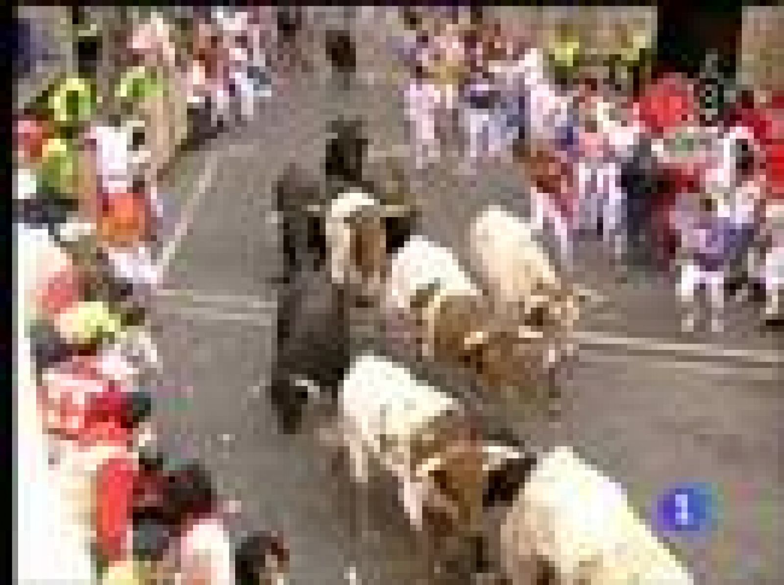 San Fermín: II encierro 2009. Manada reagrupada | RTVE Play