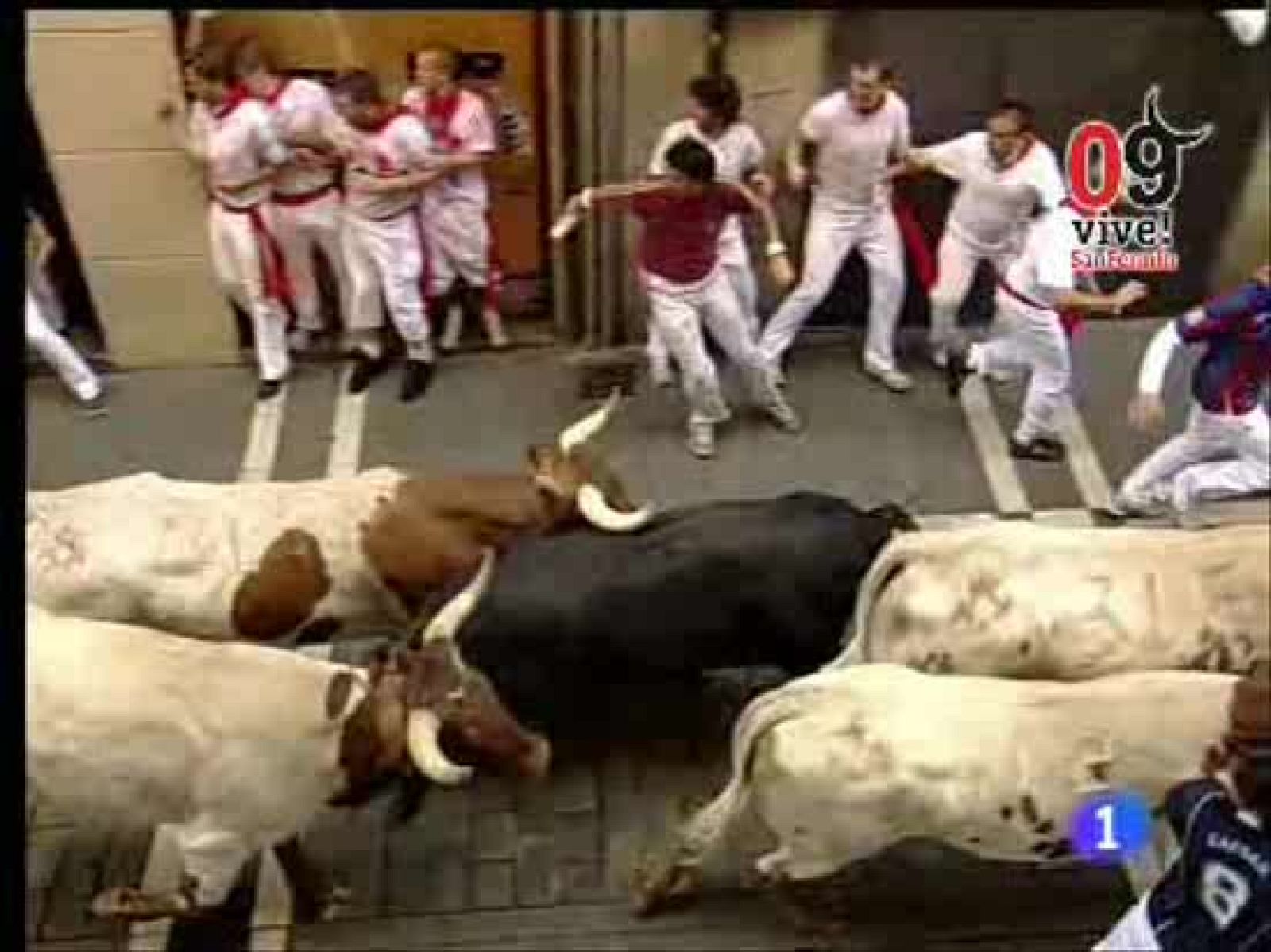 Segundo encierro 2009. Velocidad de vértigo en Estafeta | Ver