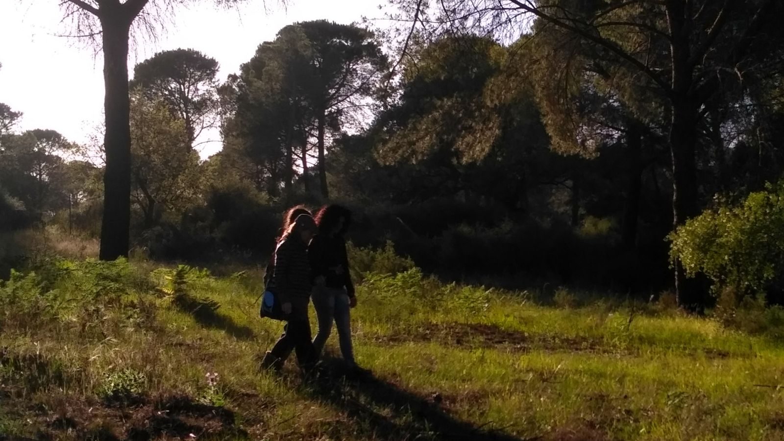 De seda y hierro - Alas para bailar - Lengua de signos - Ver ahora