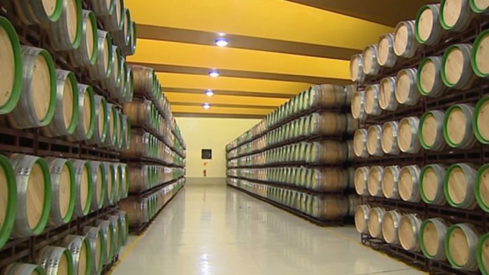 Agrosfera - Agrosfera - 05/10/19