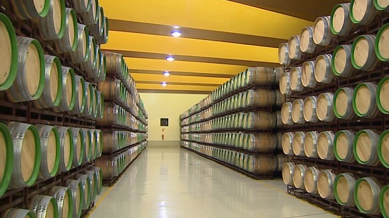 Agrosfera - 05/10/19 - ver ahora