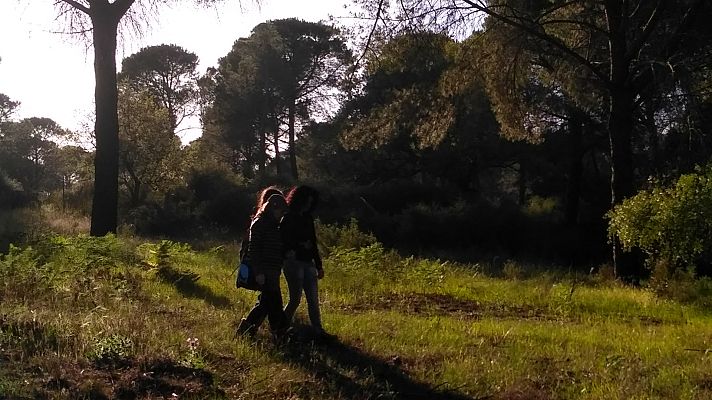 De seda y hierro - Alas para bailar