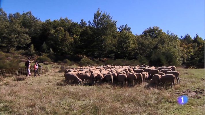 Informativo Telerioja - Informativo Telerioja 2 - 07/10/19