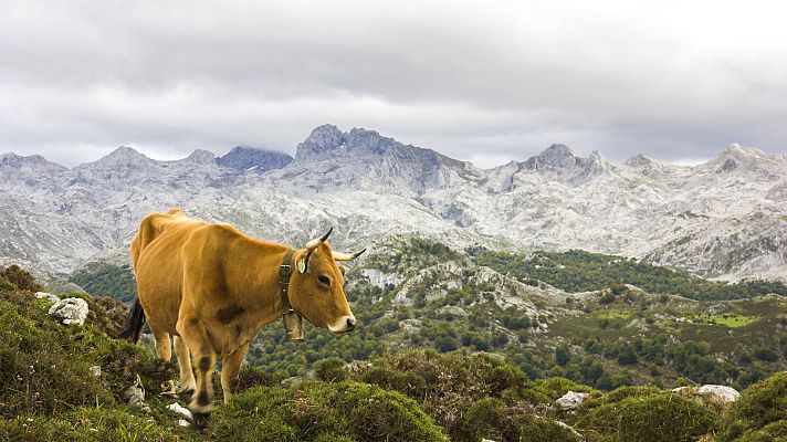 El tiempo - El litoral de Cataluña y en Baleares con lluvias y chubascos ocasionales