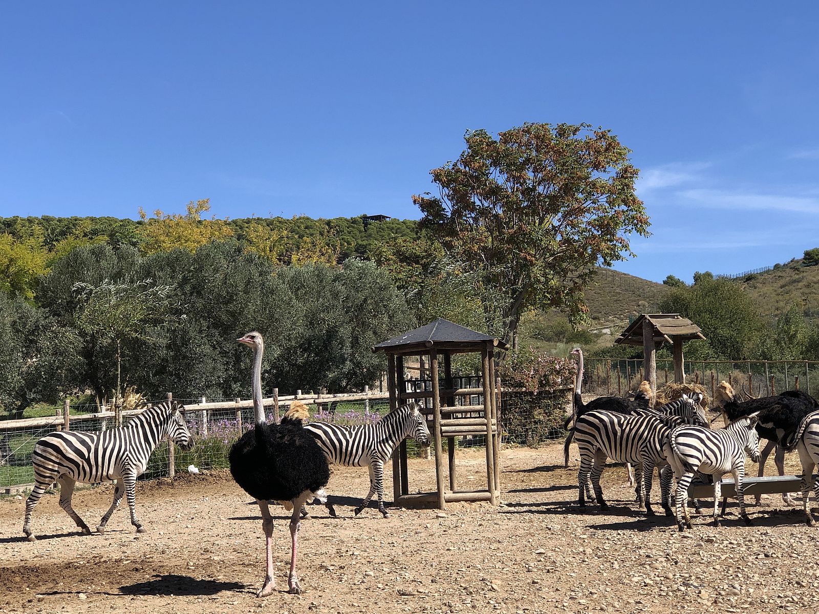 Parque Natural de Sendaviva - España Directo | Ver