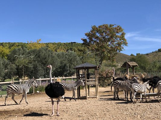 España Directo - Parque Natural de Sendaviva