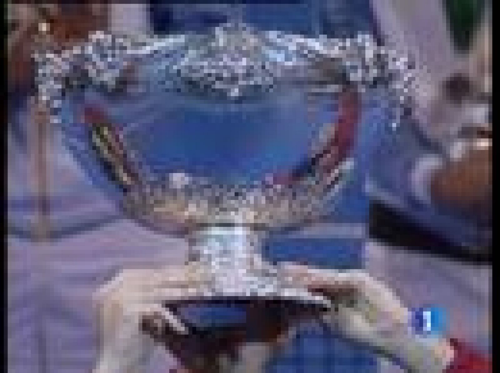 Este fin de semana arrancan los cuartos de final de la Copa Davis, en Marbella. España se endrenta a Alemania, sin Rafa Nadal y sin Ferrer.