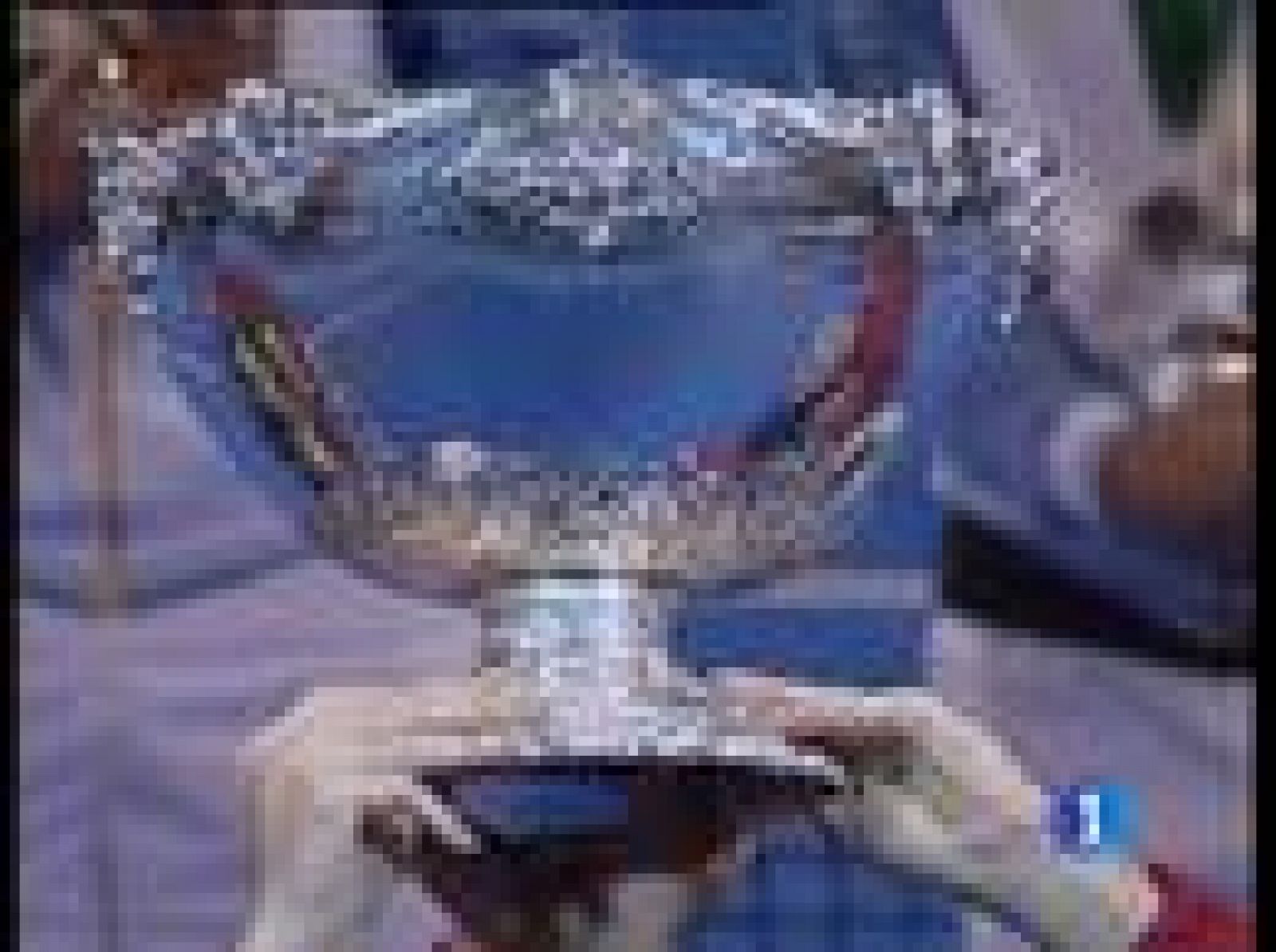  Este fin de semana arrancan los cuartos de final de la Copa Davis, en Marbella. España se endrenta a Alemania, sin Rafa Nadal y sin Ferrer.