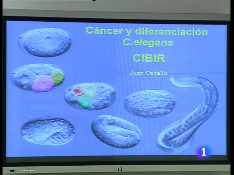  Informativo  Telerioja (08/07/09)