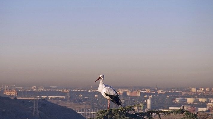 Informativo de Madrid - El Tiempo en la Comunidad de Madrid - 09/10/19