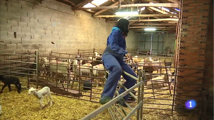 Informativo Telerioja - Informativo Telerioja 2 - 09/10/19