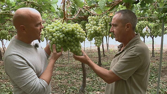 Aquí la Tierra - Aquí la Tierra - 09/10/19