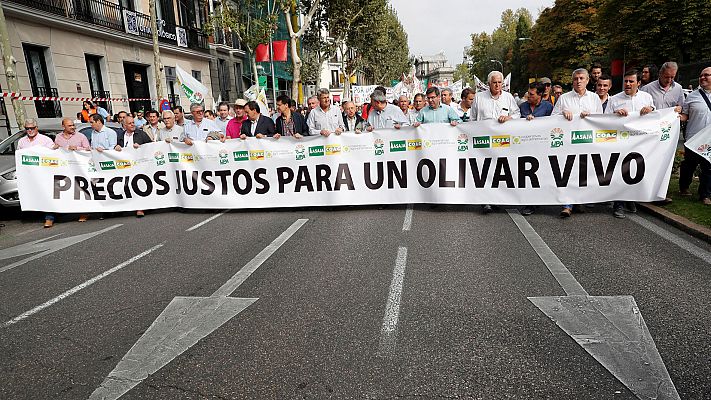 Manifestación de olivareros en Madrid