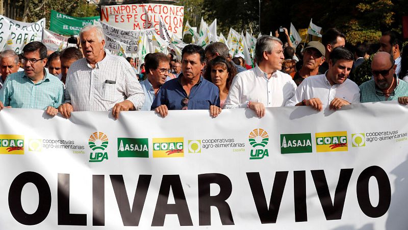 Miles de olivareros se manifiestan en Madrid en contra de los bajos precios en origen y los aranceles de Trump