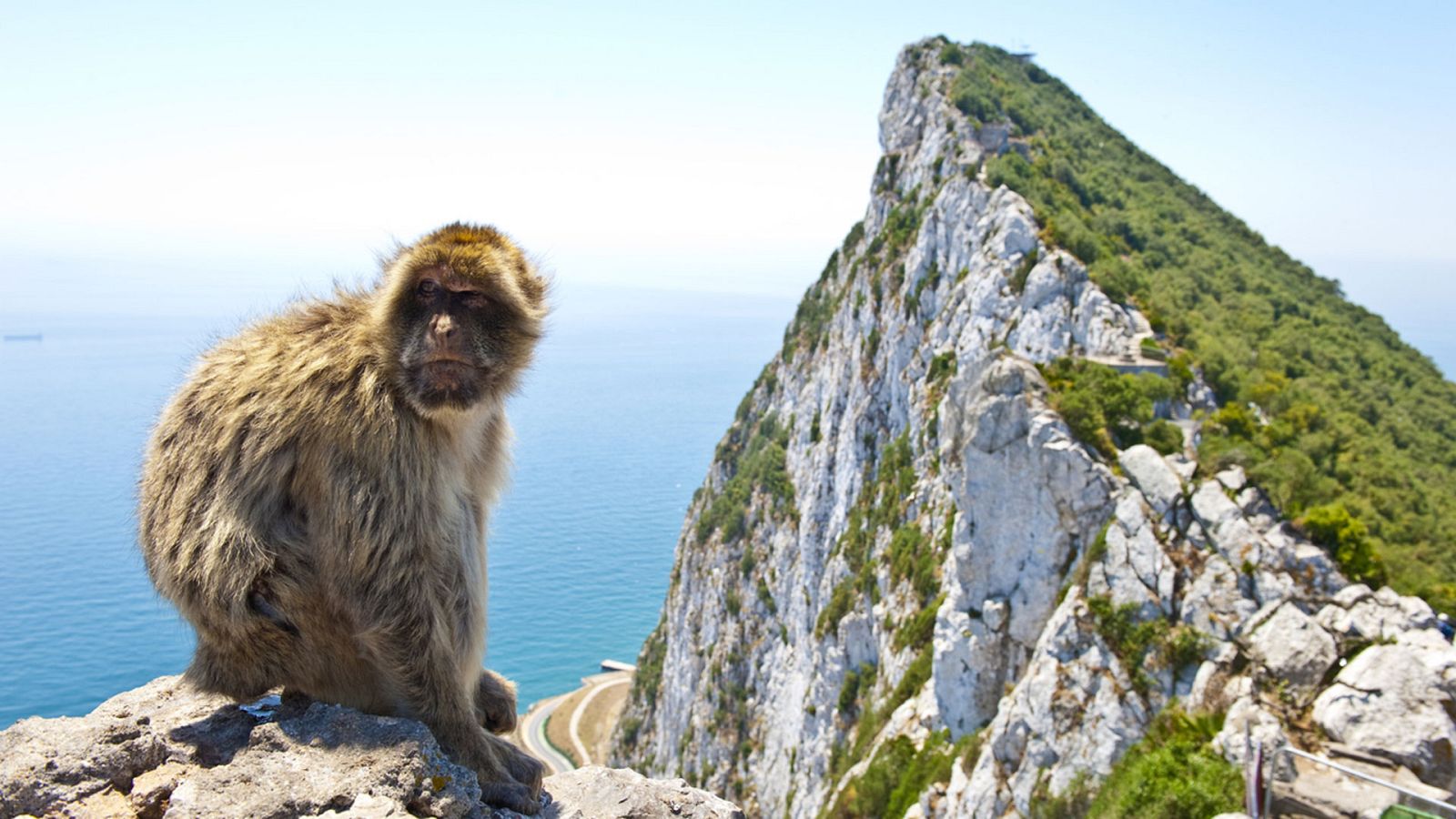 Levante fuerte en el Estrecho - ver ahora